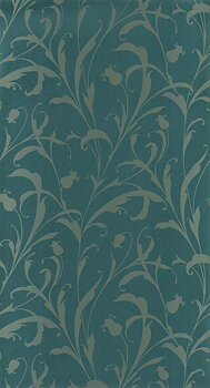Opaline - EXIR202006730