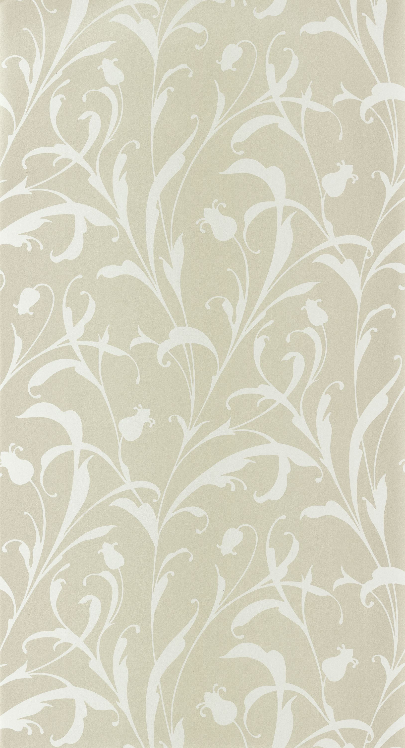 Opaline - EXIR202007129