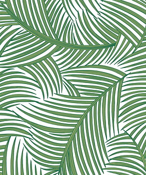 Tossed Palm Fronds (Greenery) - Självhäftande Tapet - NW51904