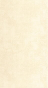 Stone 2 - STND80832002