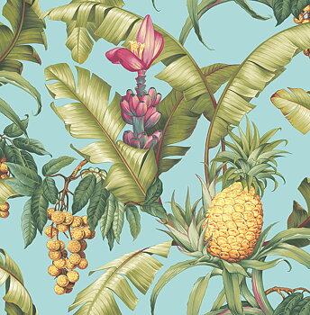 Maui Maui - TP80004