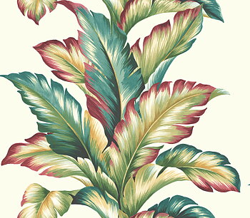 Maui Maui - TP81224