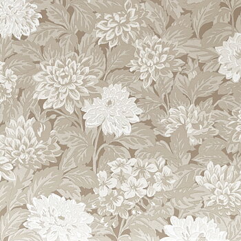 Dahlia - 357-01