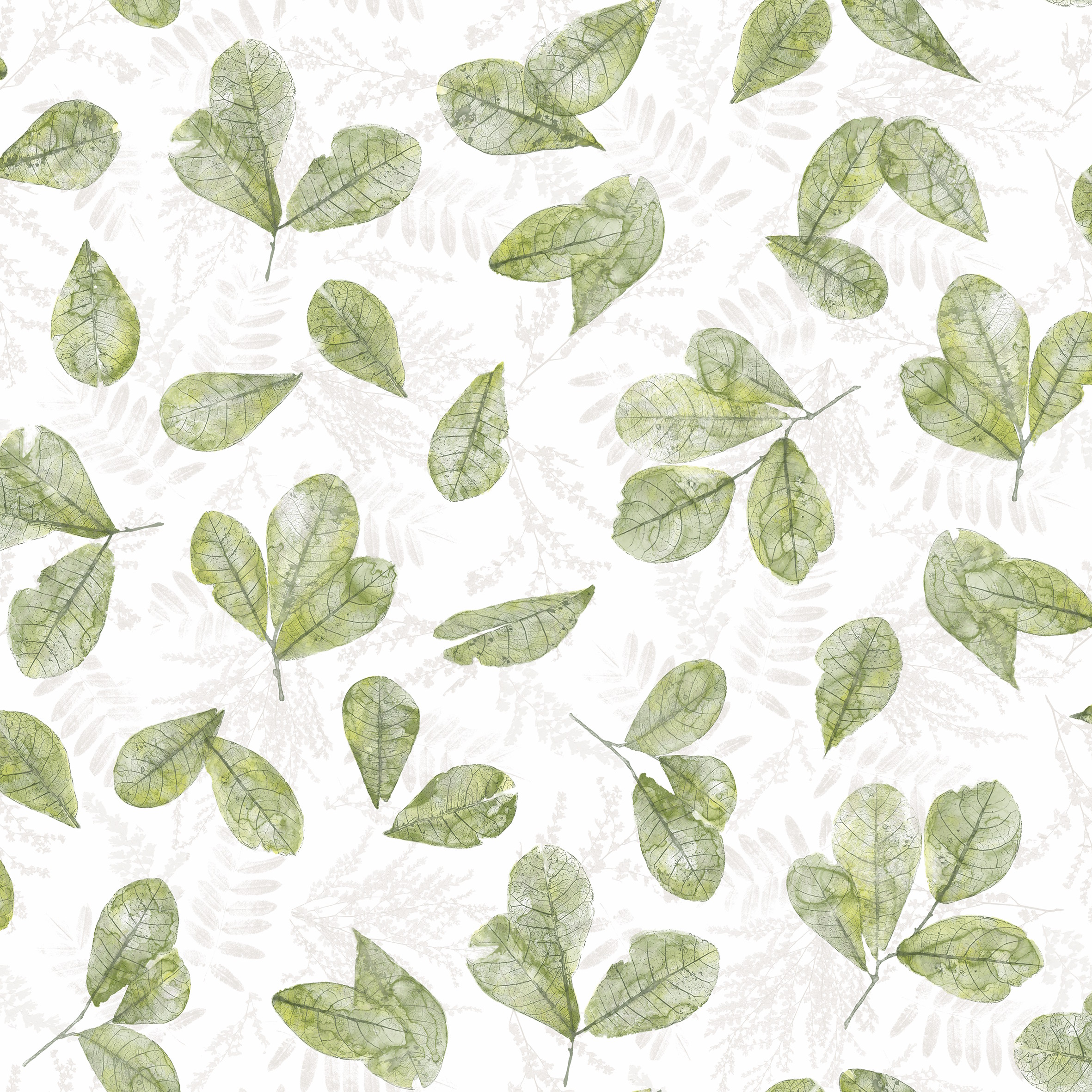 Evergreen - 7305