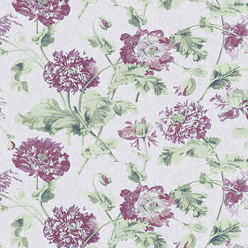 Laura Ashley - 115268