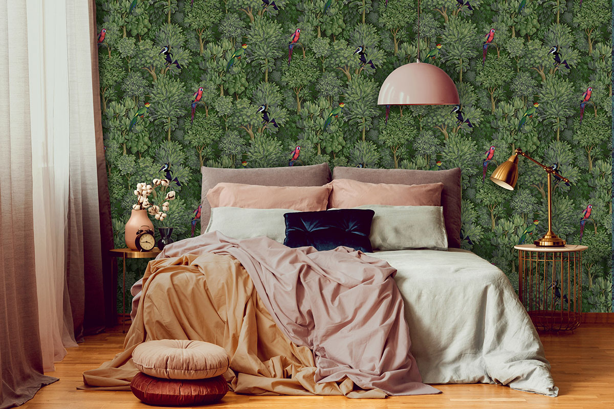 Amazonia - 91250 - 2