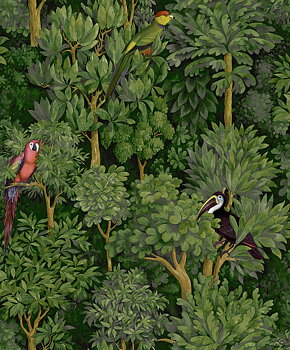Amazonia - 91250