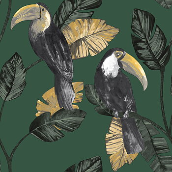 Amazonia - 91340