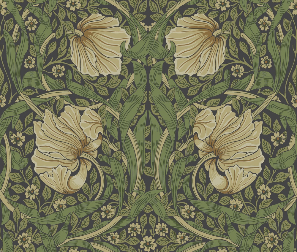Pimpernel - 82094