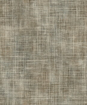 Shaped Spaces - S5503