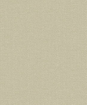 Shaped Spaces - S6204