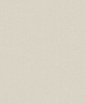 Shaped Spaces - S6203