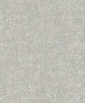 Shaped Spaces - S5403
