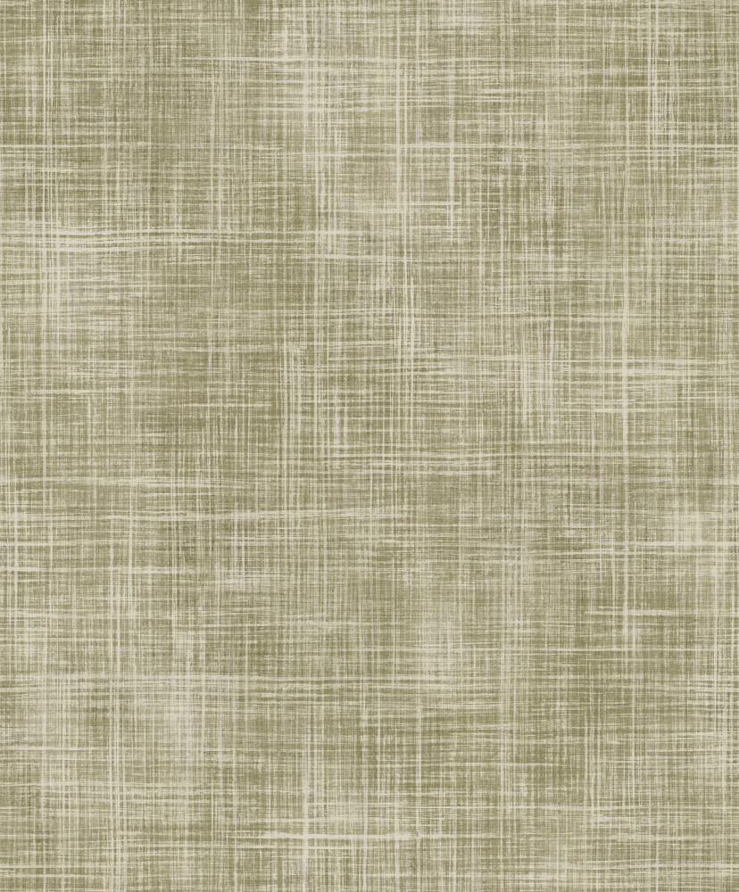 Shaped Spaces - S5502