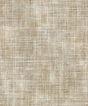 Shaped Spaces - S5501
