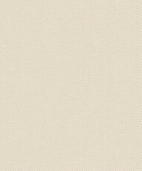 Shaped Spaces - S6202
