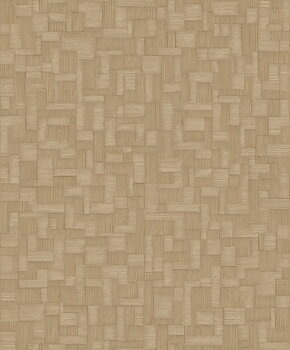 Shaped Spaces - S5206
