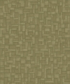 Shaped Spaces - S5202
