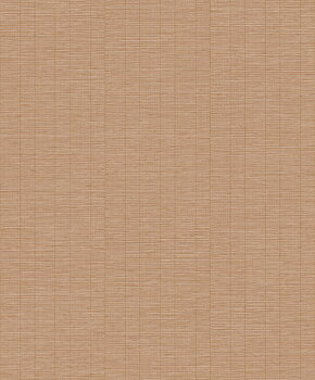 Shaped Spaces - S0305