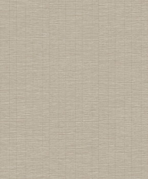Shaped Spaces - S0303