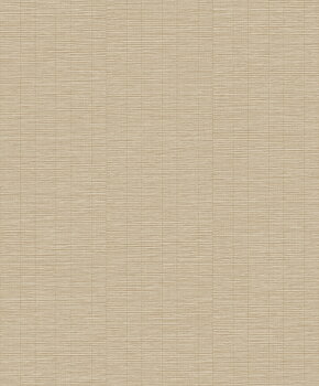 Shaped Spaces - S0301