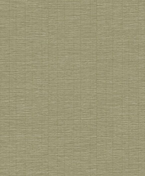 Shaped Spaces - S0304