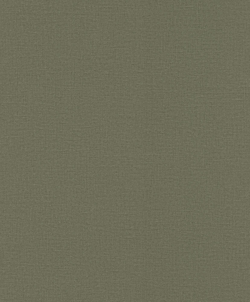 Serengeti - 555943 - 2