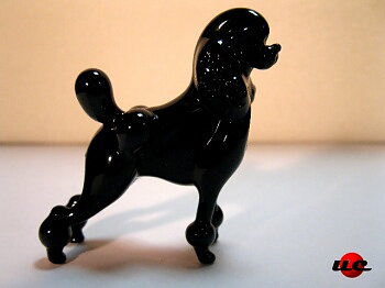 Poodle