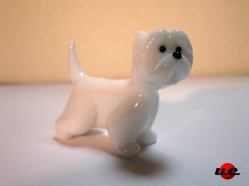 West highland white terrier
