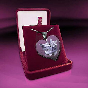 Heart Large Asymmetrical 37x35x2mm Silver