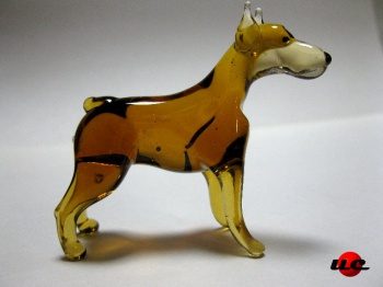 Doberman Pinscher