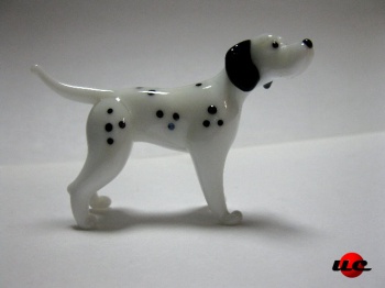 Dalmatian
