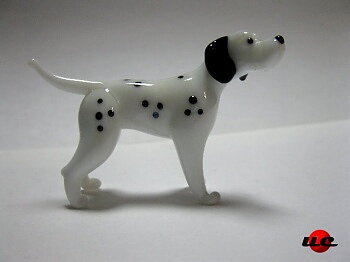Dalmatian