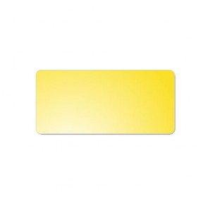 Trophy Plate Gold 50x25 mm