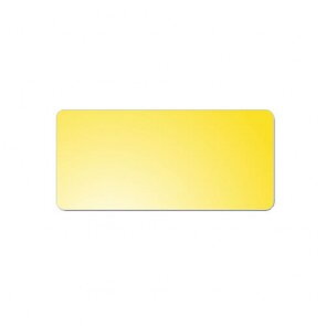 Trophy Plate Gold 50x25 mm