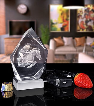 Pet Package Iceberg With 3D Crystal