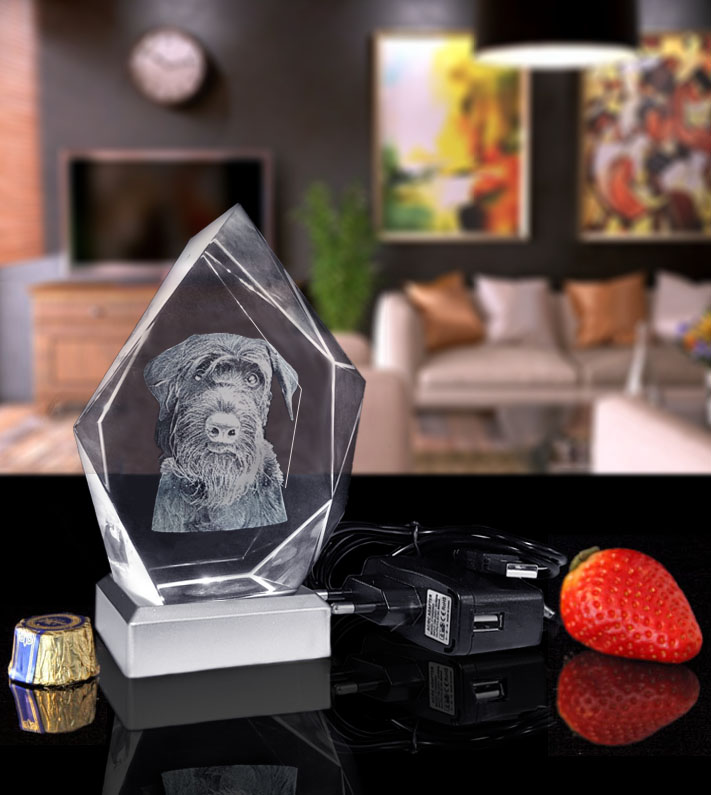 Pet Package Iceberg With 3D Crystal - 3