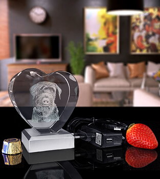 Pet Package Heart With 3D Crystal