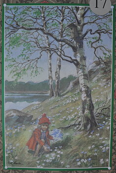 BONAD  Nr 17
