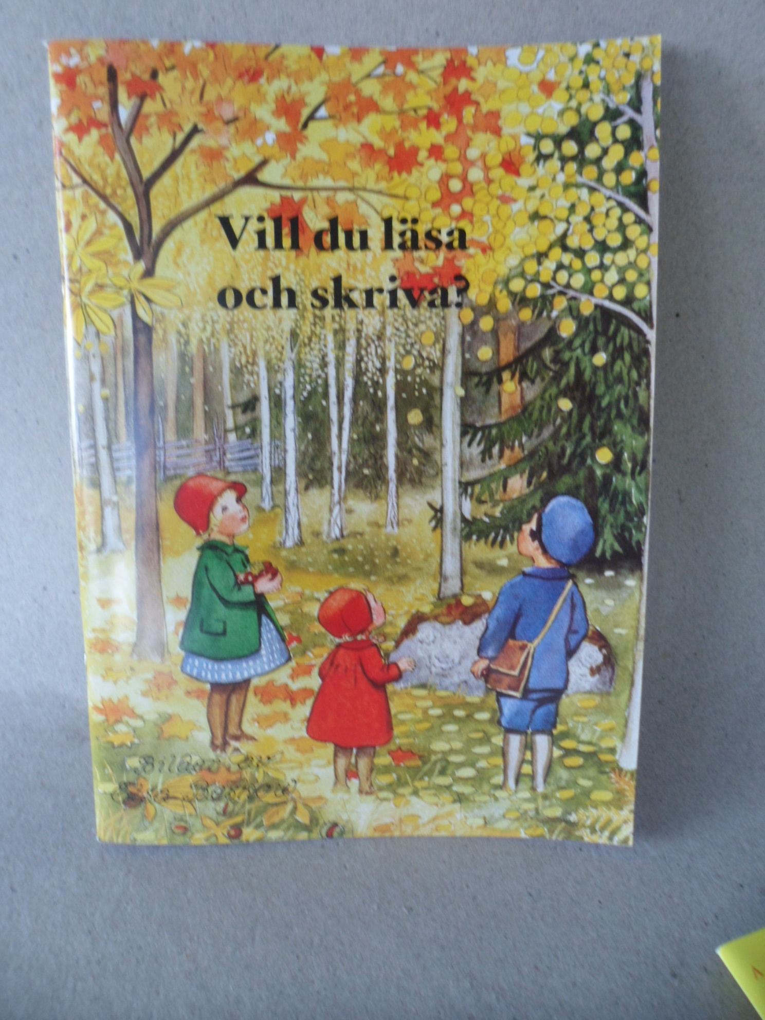 Vill Du Läsa o Skriva