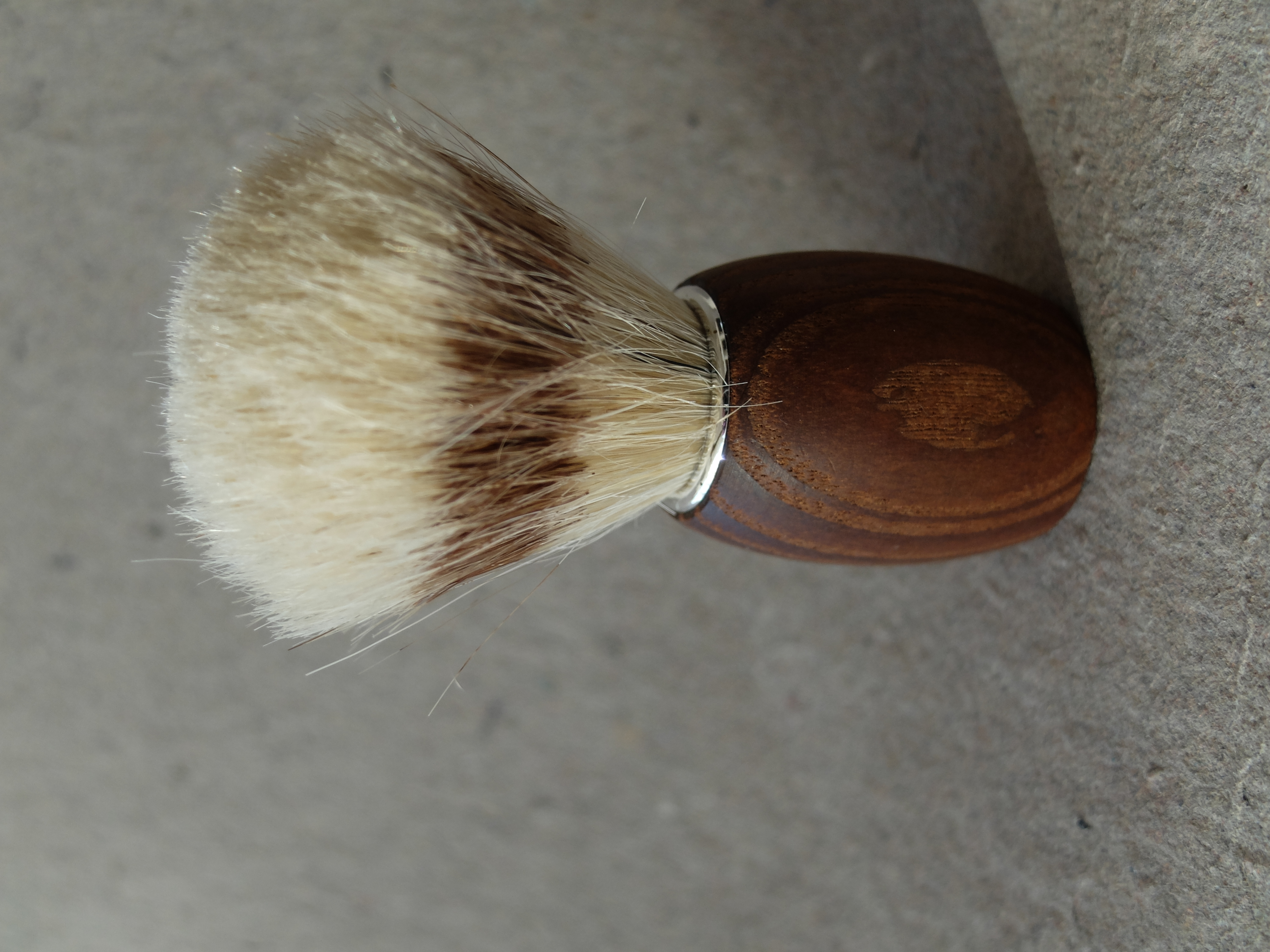 Rakborste/Mörk
