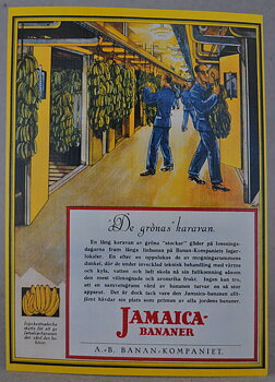 VYKORT/JAMAICA
