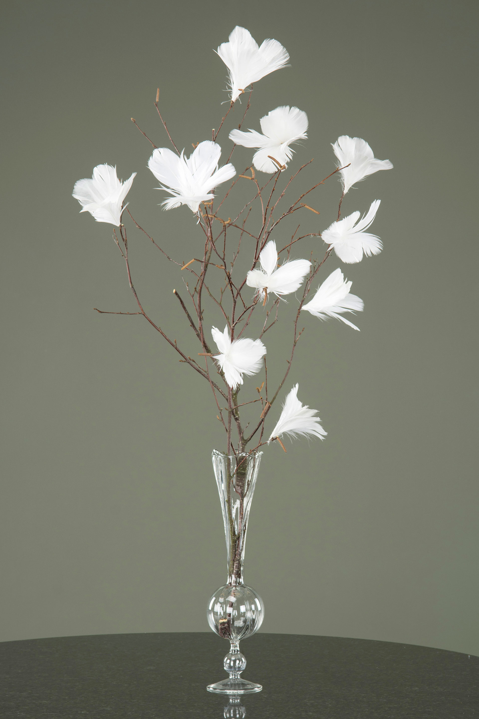 Fjäderblommor Vita