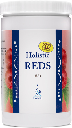 Reds Holistic 195g
