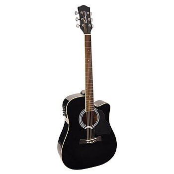 Richwood RD-12CE Black
