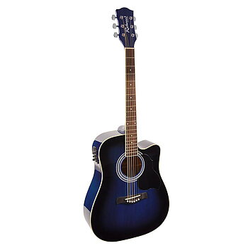 Richwood RD-12CE Blue Sunburst