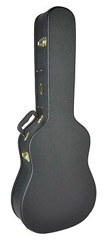 Boston CAC-100-D Hardcase dreadnought & 12-str.