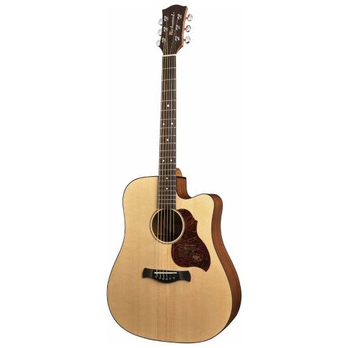 Richwood D-20CE Master Series Dreadnought