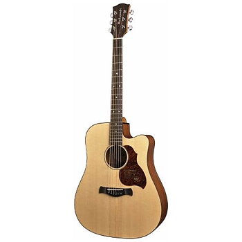 Richwood D-20CE Master Series Dreadnought