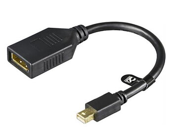 mini DisplayPort till DisplayPort adapter